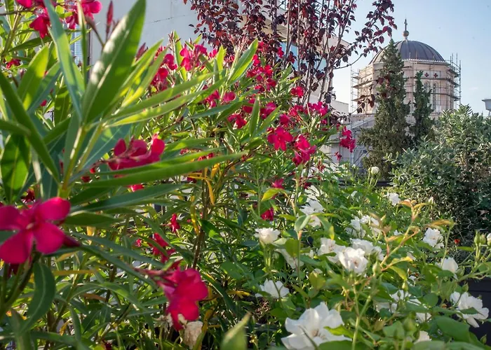 Kimon Hotel Athens